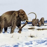 Return Of The Woolly Mammoth