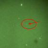 UFO Caught On Video – Joshua Tree, CA
