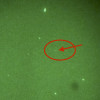 UFO Caught On Video – Joshua Tree, CA