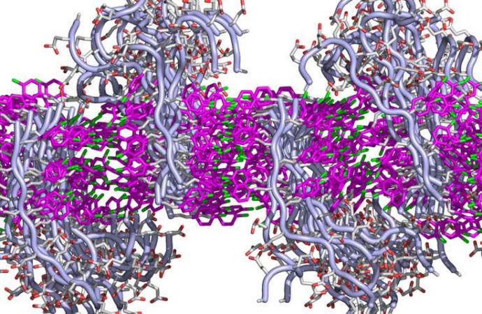 Scientists create new thin material that mimics cell membranes