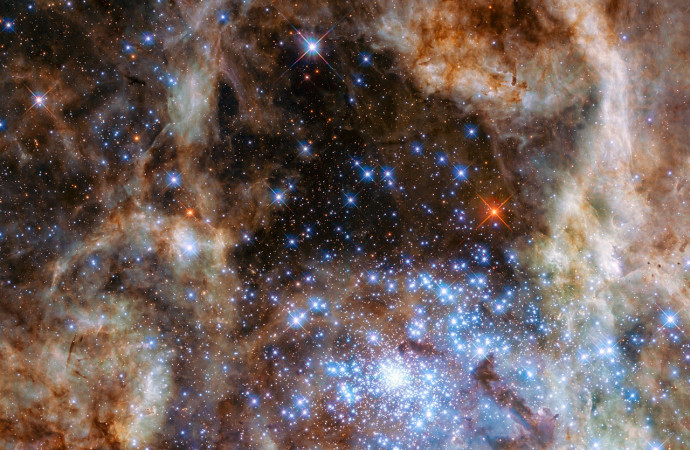 Hubble unveils monster stars