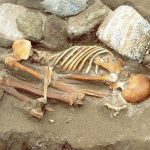 Half of Western European men descended from one Bronze Age ‘king’
