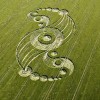 British Cop Witnesses TALL WHITE Aliens Inspecting Fresh Crop Circle