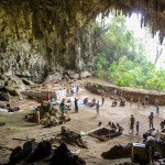 Diminutive ‘Hobbit’ people vanished earlier than previously known