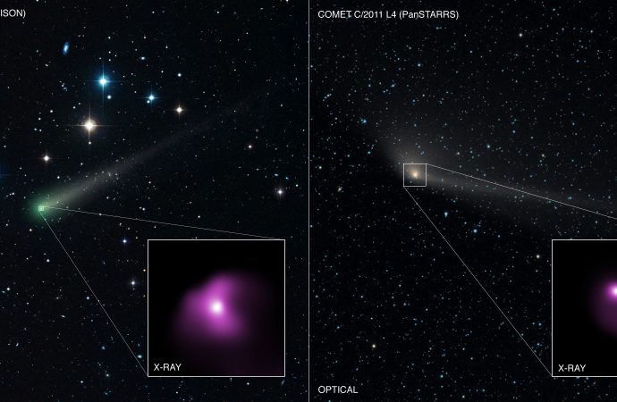Comets ISON & PanSTARRS: Comets in the “X”-Treme