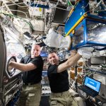 Staying Strong: Spaceflight Muscle Loss Study Aims to Benefit Patients on Earth
