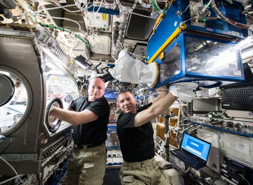 Staying Strong: Spaceflight Muscle Loss Study Aims to Benefit Patients on Earth