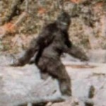 Do Bite Marks on Bones Prove Bigfoot is Real?