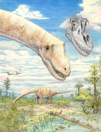 Heads up: intact skull sheds light on big, long-necked dinosaurs