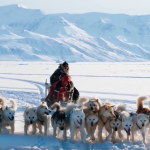 “The Earth has shifted” Inuit Elders issue warning to the world