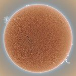 Giant Solar Prominences