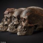 The ‘founding fathers’ of Europe: DNA reveals all Europeans are related to a group that lived around Belgium 35,000 years ago