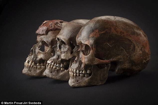 The ‘founding fathers’ of Europe: DNA reveals all Europeans are related to a group that lived around Belgium 35,000 years ago