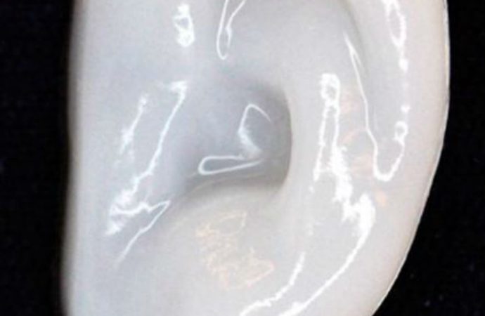 How Researchers Plan to 3-D Print Knee, Nose and Ear Cartilage