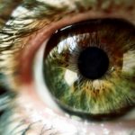 Google patents an eye implant