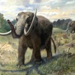 Mastodon meal scraps revise US prehistory