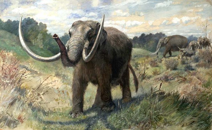Mastodon meal scraps revise US prehistory