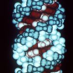 Chemists offer more evidence of RNA as the origin of life