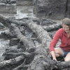 Oldest house in Britain discovered to be 11,500 years old