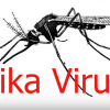 The Zika virus is a mysterious illness with devastating effects.