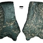 ‘Oldest axe’ was made by early Australians
