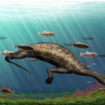 Fossils shed light on ‘bizarre’ reptile