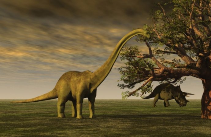 Scientists Say They Can Recreate Living Dinosaurs Within the Next 5 Years
