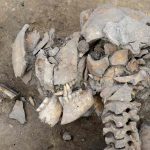 French archaeologists unearth bones from 6,000-year-old massacre