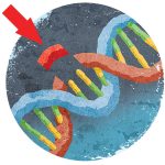 CRISPR Gets Federal Approval For Human Testing
