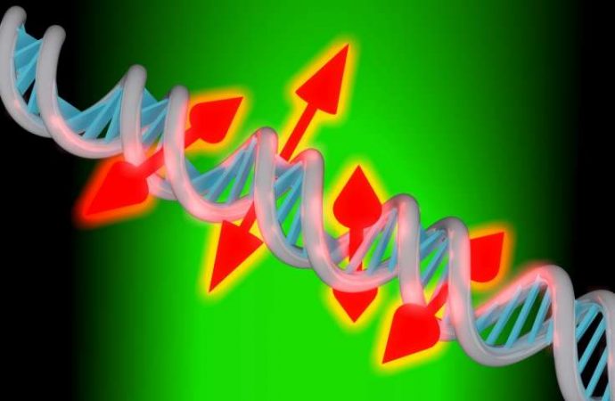 New imaging method reveals nanoscale details about DNA