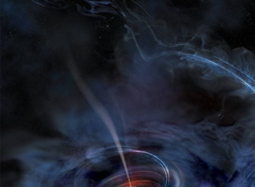 X-ray Echoes of a Shredded Star Provide Close-up of ‘Killer’ Black Hole
