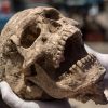 Discovery of 3,000-Year-Old Philistine Cemetery May Change History