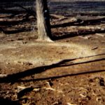 Alleged UFO Landing in Delphos, Kansas