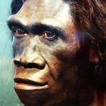 Scientists Say A Mystery Species Bred with Ancient Humans in Distant Past