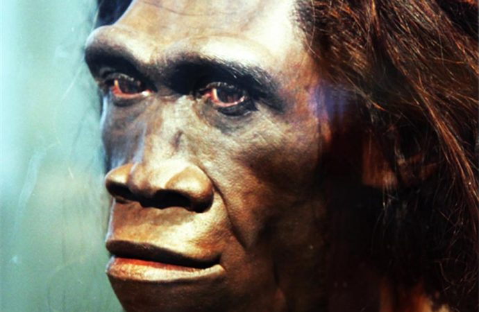Scientists Say A Mystery Species Bred with Ancient Humans in Distant Past