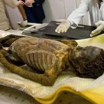 Searching for a Family: The Mysterious Mummy of Maiherpri and His Special Tomb