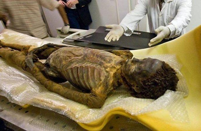 Searching for a Family: The Mysterious Mummy of Maiherpri and His Special Tomb