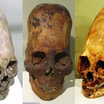 DNA Analysis Of Paracas Elongated Skulls Released. The Results Prove They Were Not Human