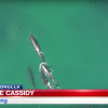 Drone pilot captures incredible footage of a whale pod hunting and killing a shark