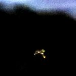 Florida witness captures UFO on photo