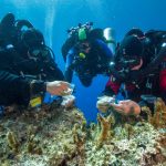 Ancient Shipwreck Off Greek Island Yields A Different Sort Of Treasure