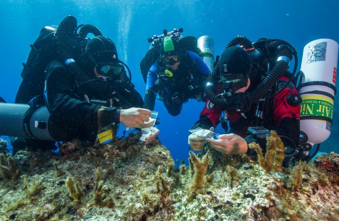 Ancient Shipwreck Off Greek Island Yields A Different Sort Of Treasure