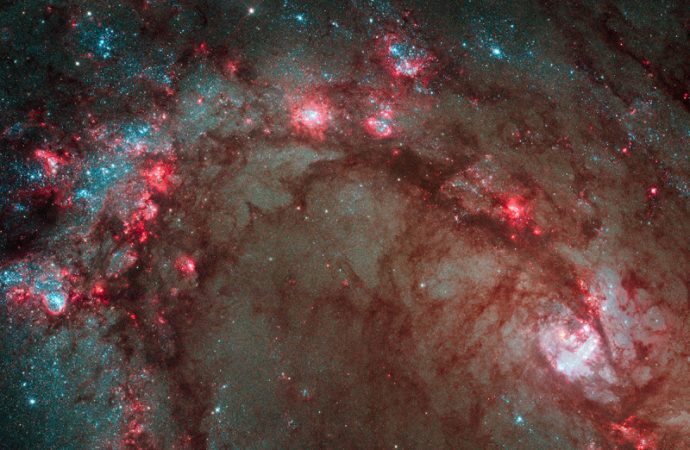 Our universe could be reborn as a bouncing baby cosmos