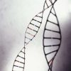 Scientists delve into ‘black box’ of DNA research