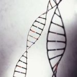 Scientists delve into ‘black box’ of DNA research