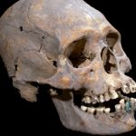 1,600-Year-Old Elongated Skull with Stone-Encrusted Teeth Found in Mexico Ruins
