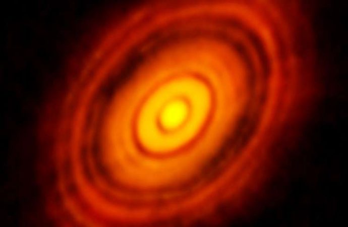 Behind the scenes of protostellar disk formation
