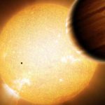 Warm Jupiters not as lonely as expected