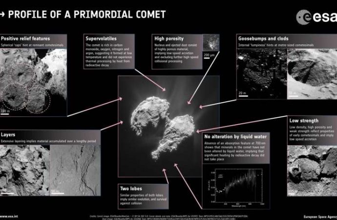 How comets are born