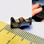 300-million-year-old UFO tooth-wheel found in Russian city of Vladivostok